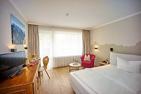 Comfort Double Room with Mountain View