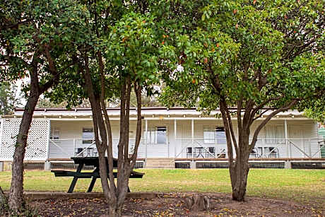 10-Bed Mixed Dormitory Room