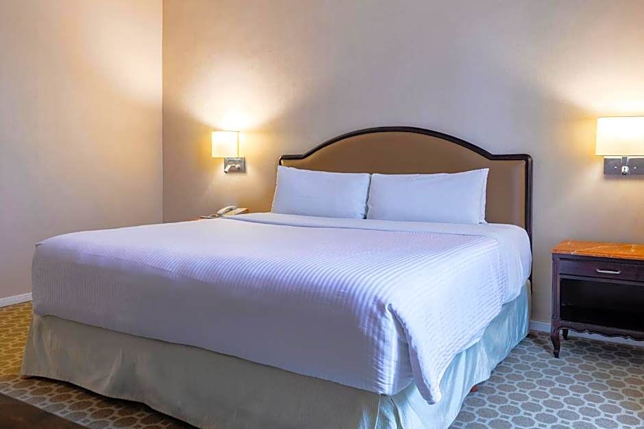 Photo 1 of 3 of Superior 1 King Bed