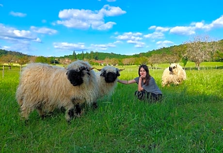 Ferme des Petites Oreilles 4 étoiles