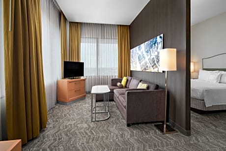 Larger Suite, 1 King, Sofa Bed
