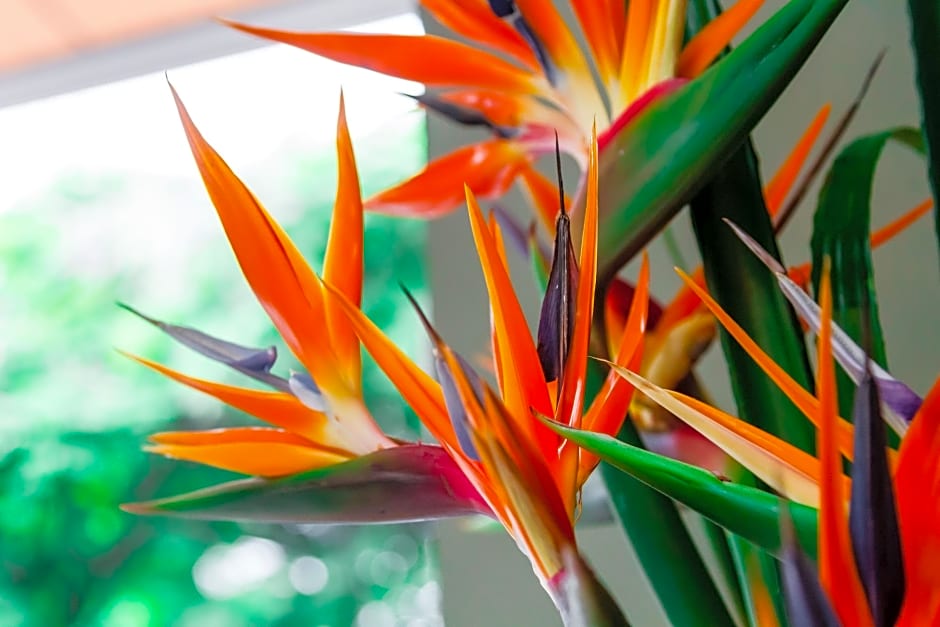 Hotel Casa Vallecaucana