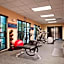 Hampton Inn By Hilton And Suites Detroit/Airport-Romulus