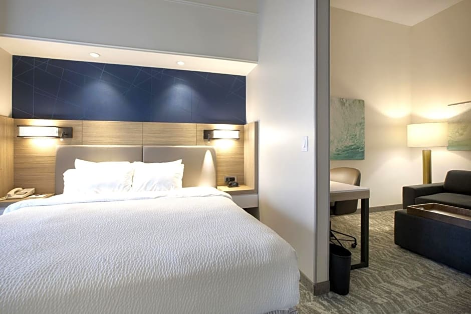 SpringHill Suites by Marriott Savannah Airport