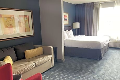 1 King Bed Suite Non-Smoking