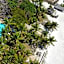 Baobab Sea Lodge