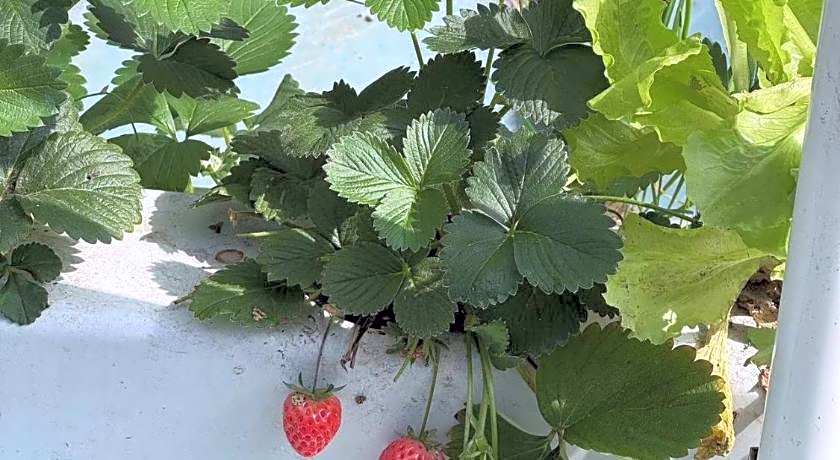 Shaoxing Luxun Native Place International Youth Hostel