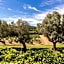 Domaine Les Mésanges