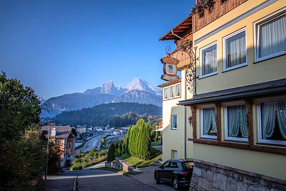 Hotel AlpinaRos Demming