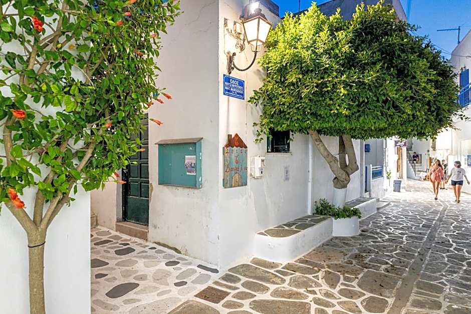 Pelican Paros