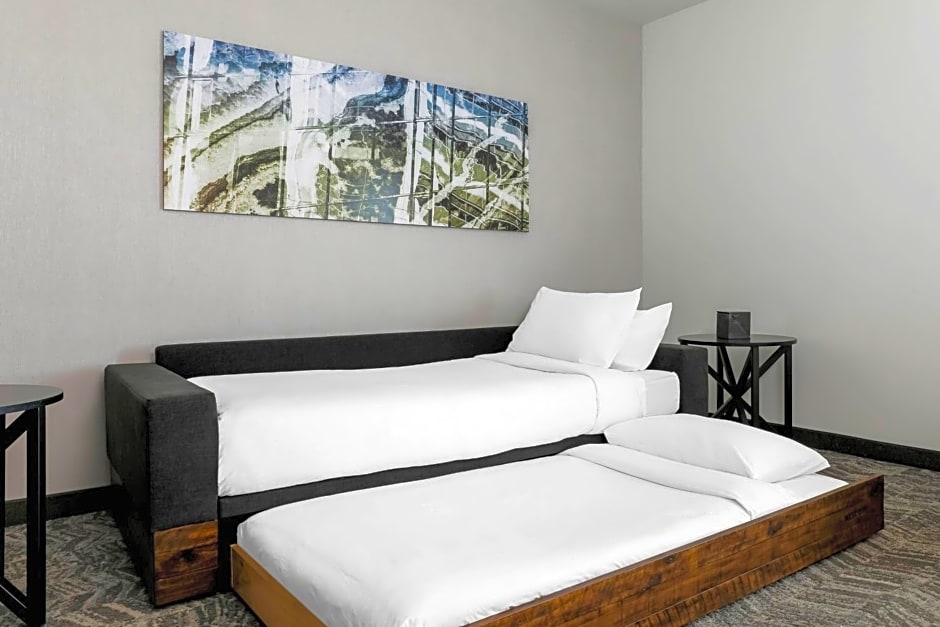 SpringHill Suites by Marriott San Jose Fremont