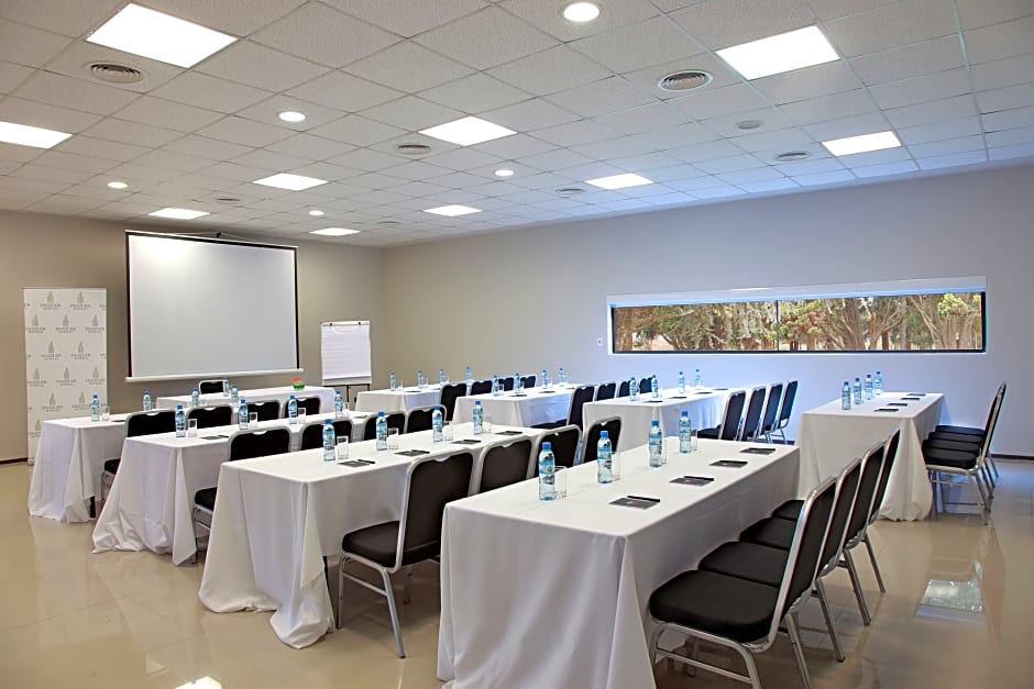 Dazzler by Wyndham Campana