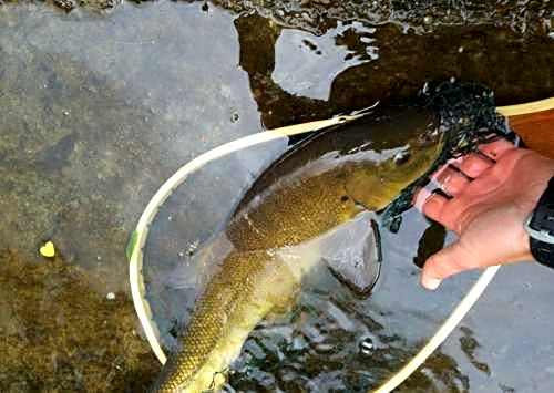 La Panoramica a Molino del Pallone