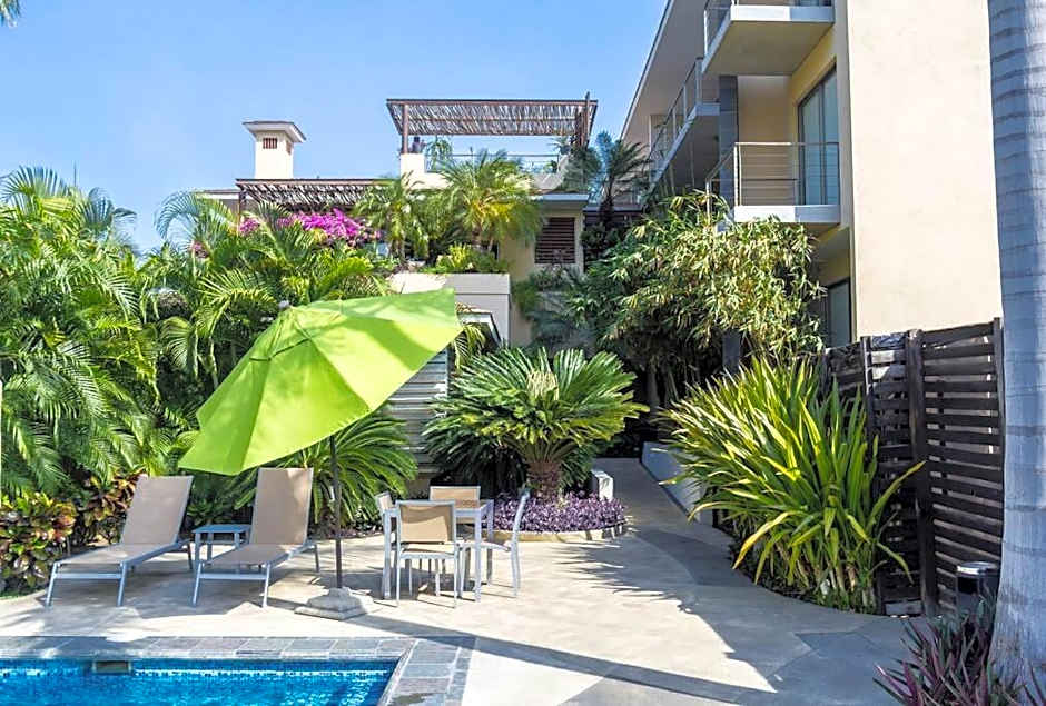 Gorgeous Open Concept Apartment