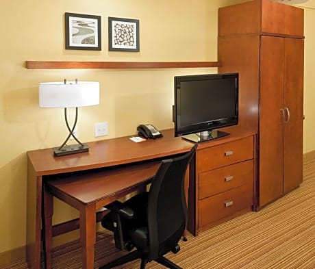 Room, 1 King Bed with Sofa bed (1 King Bed and 1 Double Sofa Bed)