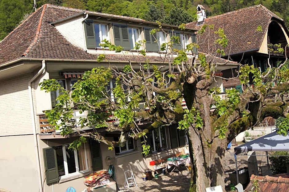 B&B Schönörtli