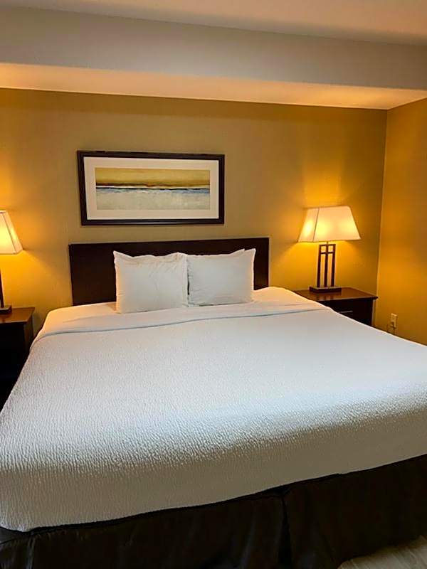 Photo 1 of 6 of Studio Suite Queen Bed