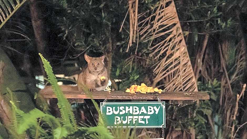 Gooderson Bushlands Game Lodge