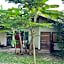 Brown House Chiangdao