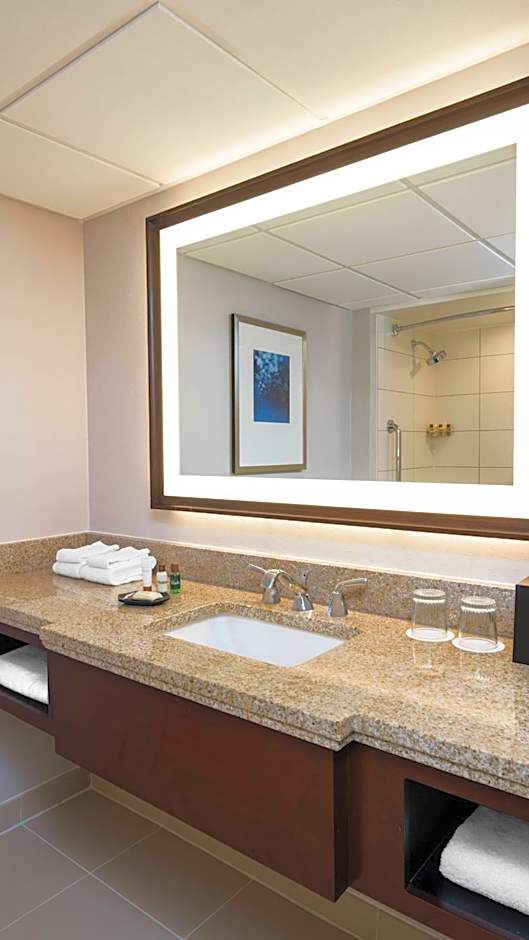 Sheraton Memphis Downtown Hotel