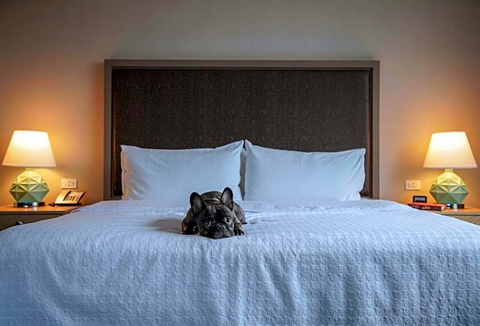 Homewood Suites by Hilton Chicago West Loop