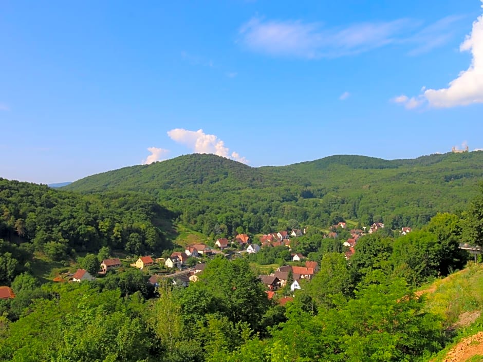 Terrasses d'Alsace