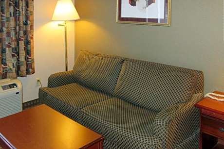 1 King Bed, Suite, Nonsmoking