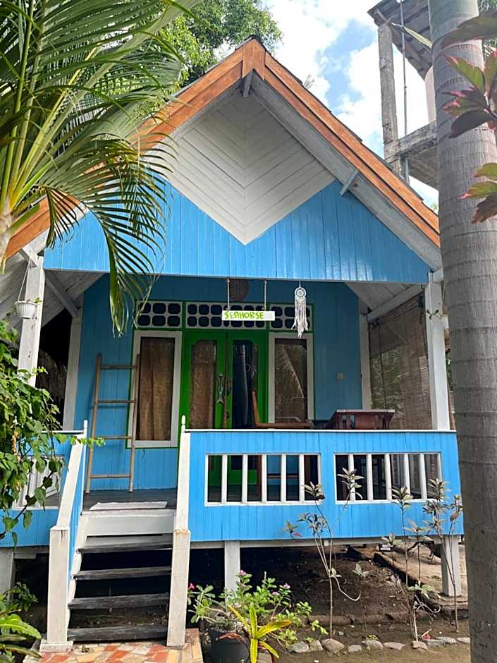 AQUARIUM MARGO Gili Air