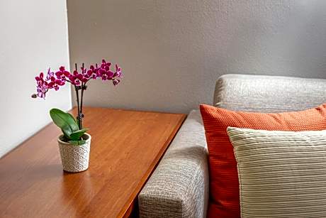 King Room with Sofa Bed