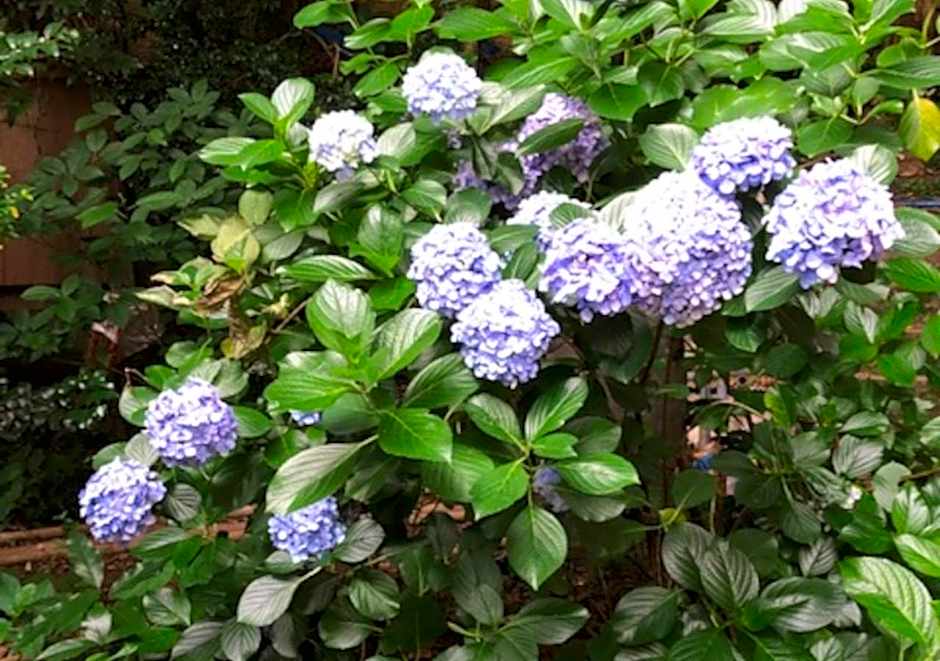 Izuya Ryokan - Vacation STAY 22369v