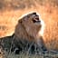 Nkala Safari Lodge
