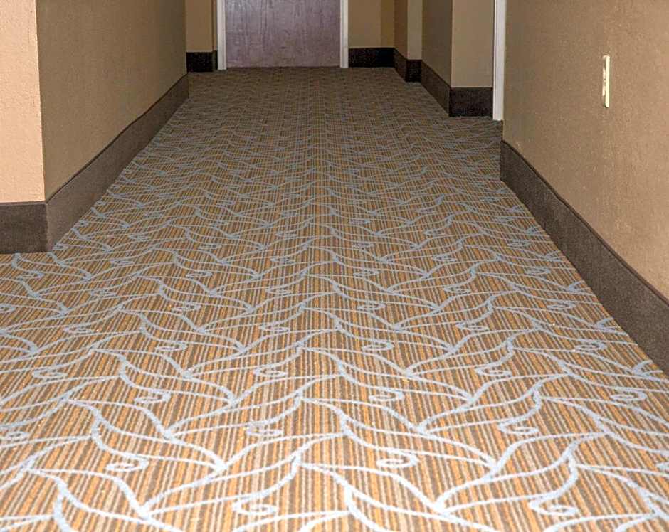 AmericInn by Wyndham Mounds View Minneapolis