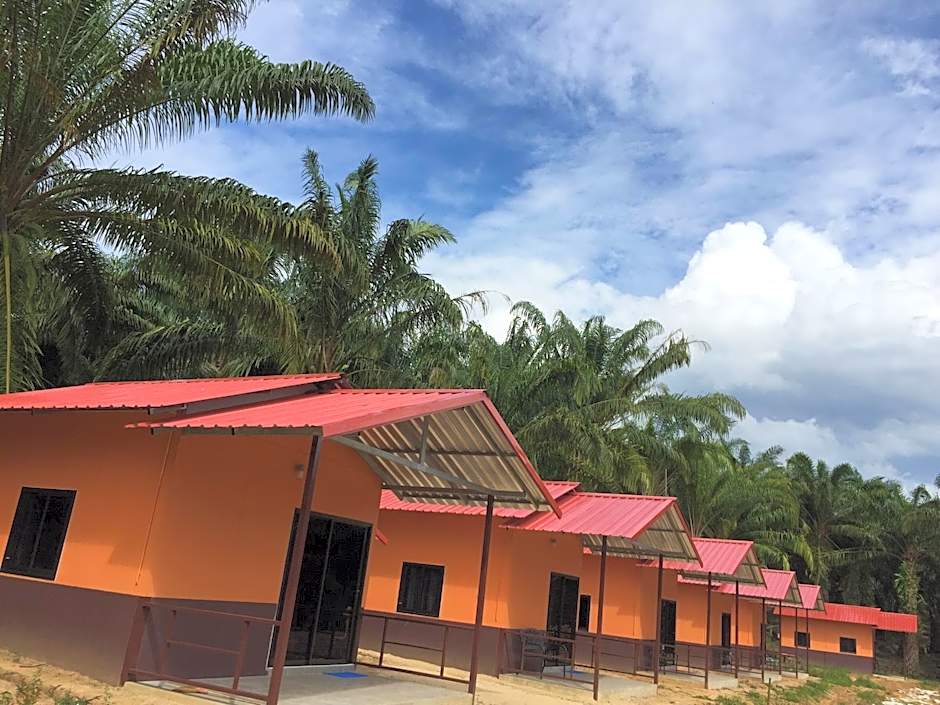 Khao Sok Evergreen House