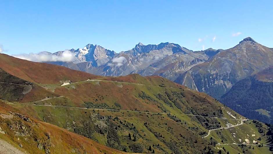 Alpen Gasthof Apartments Hohe Burg