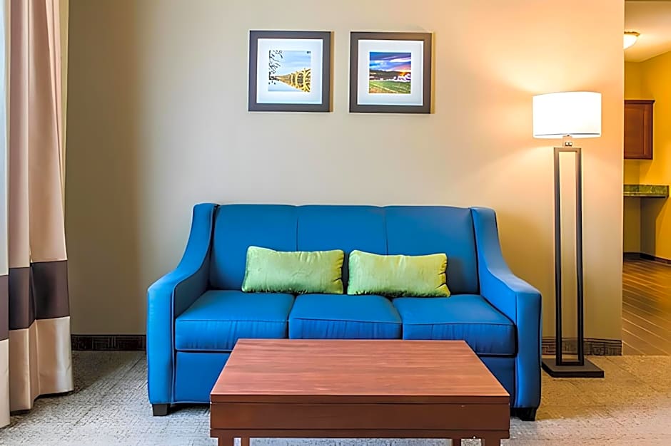 Comfort Inn Lancaster County 