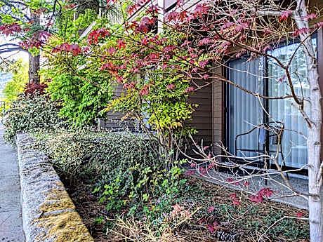 Accessible - 2 Queen Mobility Accessible Walk In Shower Deluxe Room Patio Table And Chairs Non-Smok