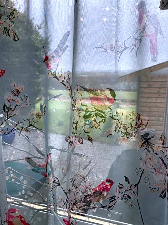 Jacquie's B&B -Dumfries-Room with a view