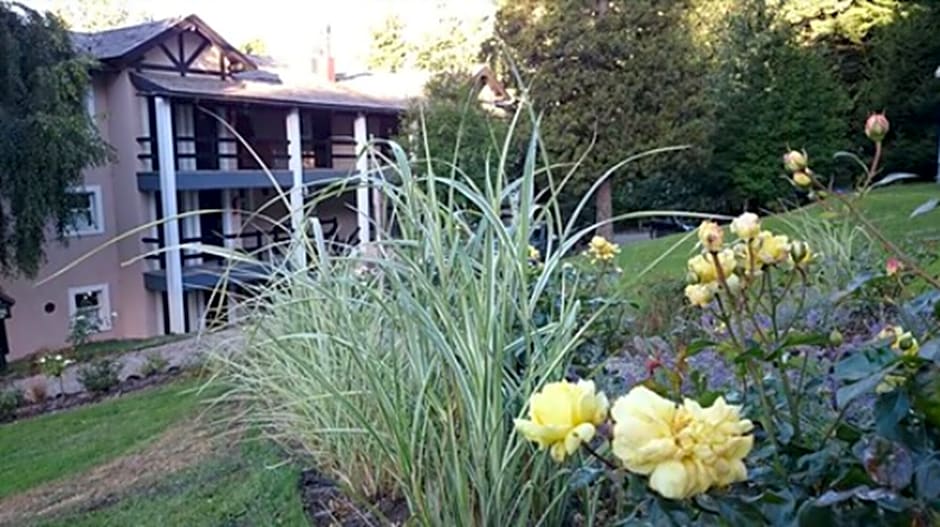 Aldea Andina Hotel&Spa