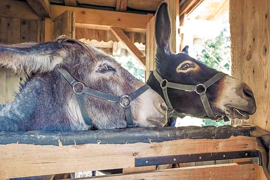 Le Marie Lydie - Chambre d'hôte