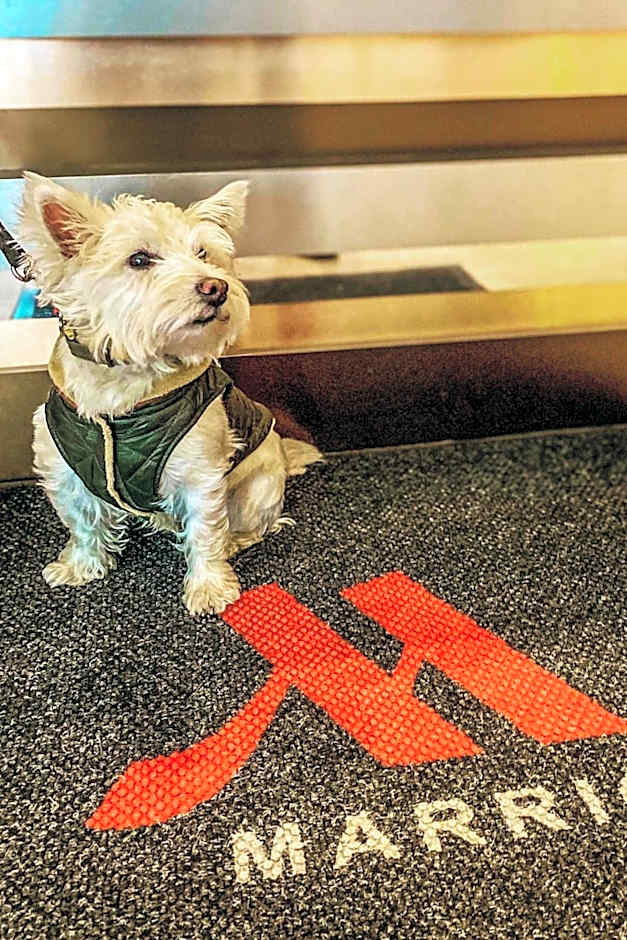 Ithaca Marriott Downtown on the Commons