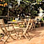 Orange Vibes Guest house