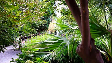 Hotel Le Palme