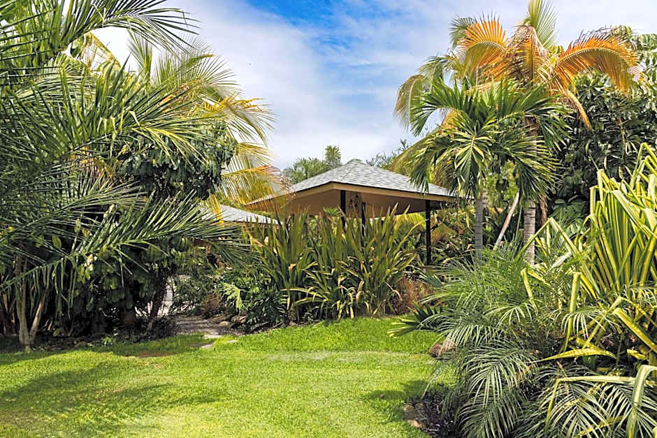 Soul Spring Sanctuary Cuernavaca