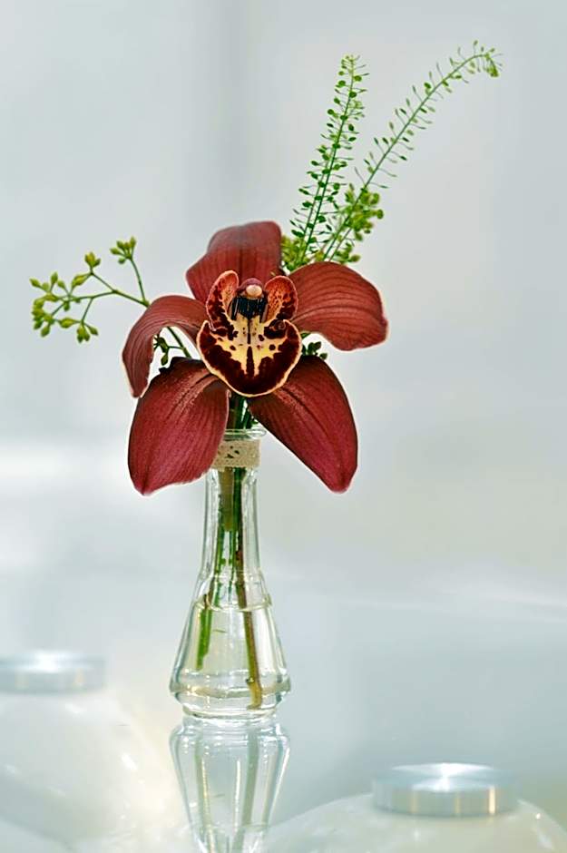 Atrium Hotel Bucharest City Center