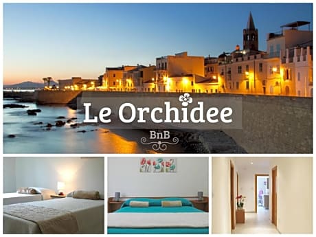 B&B Le Orchidee