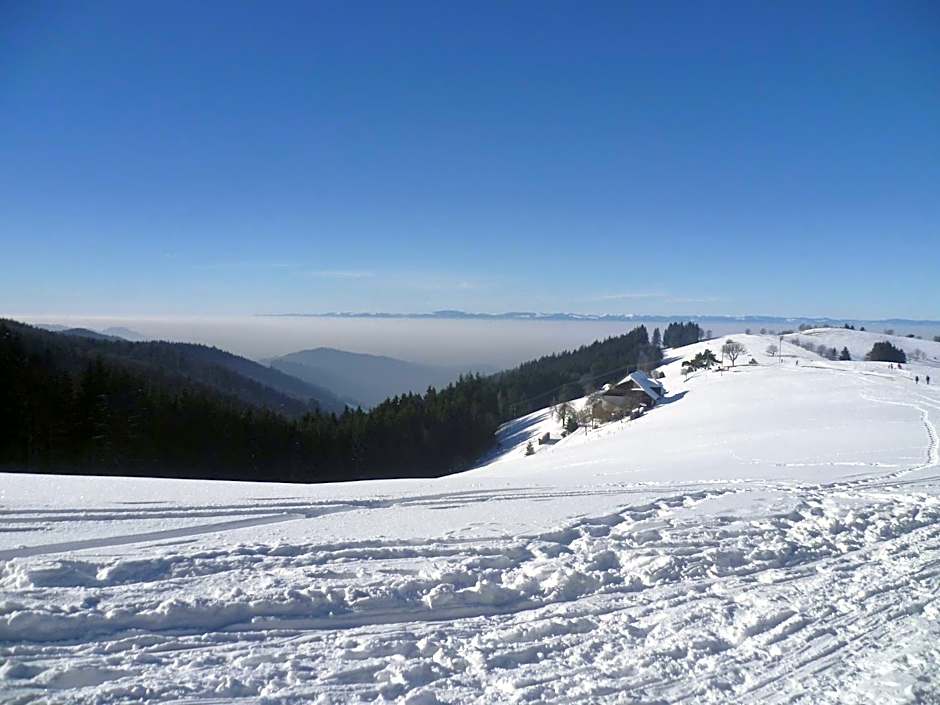 Appart'Hôtel LIDO au bord de l'eau