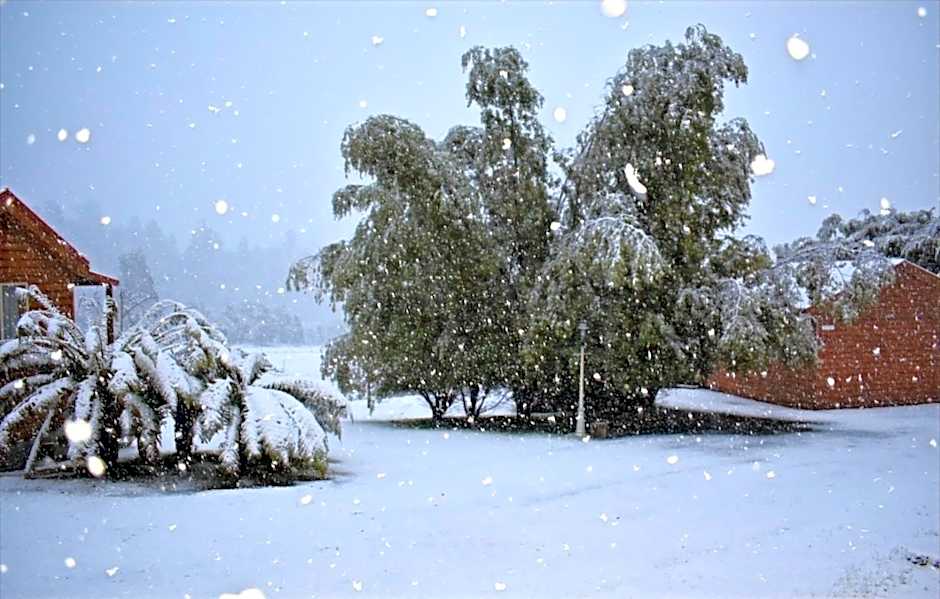 Maydena Mountain Cabins
