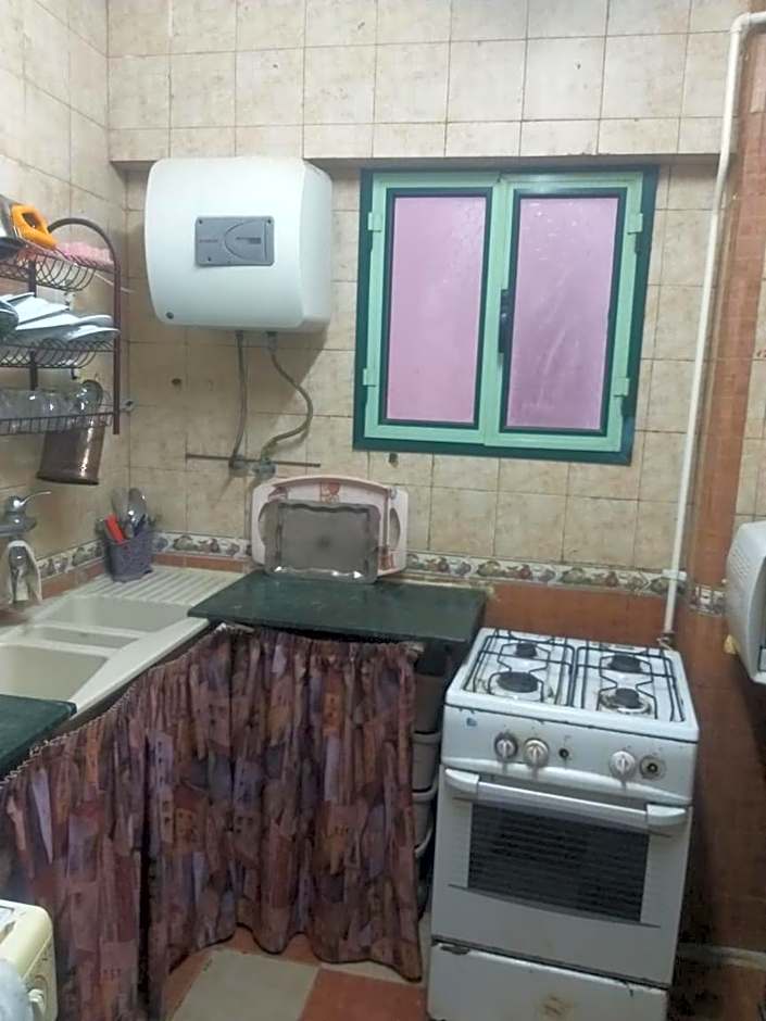 alexandria agamy betash