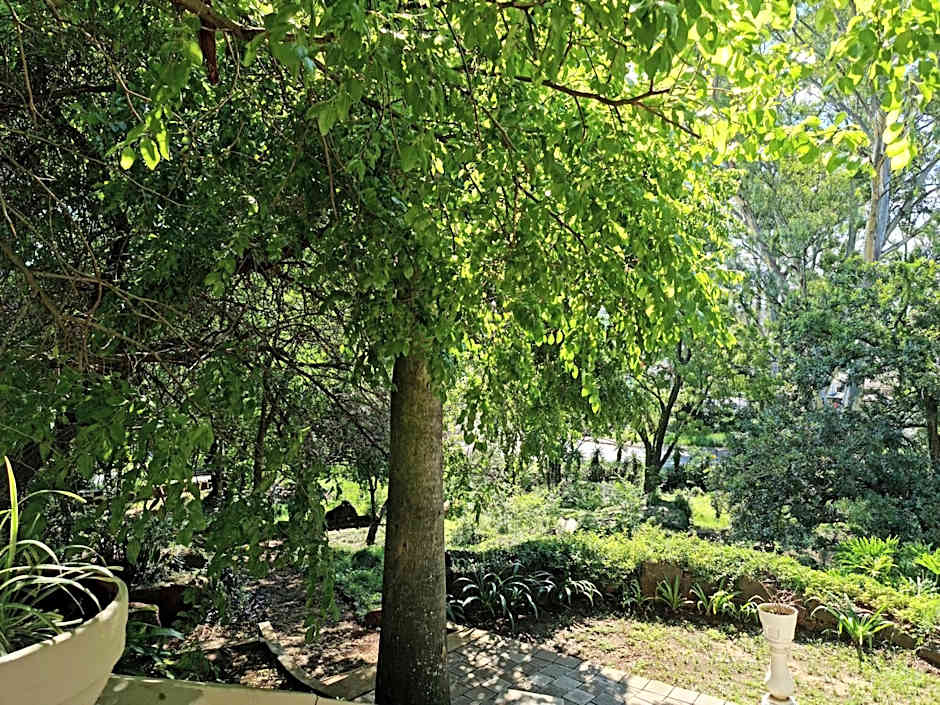 Peaches & Cream Bed & Breakfast