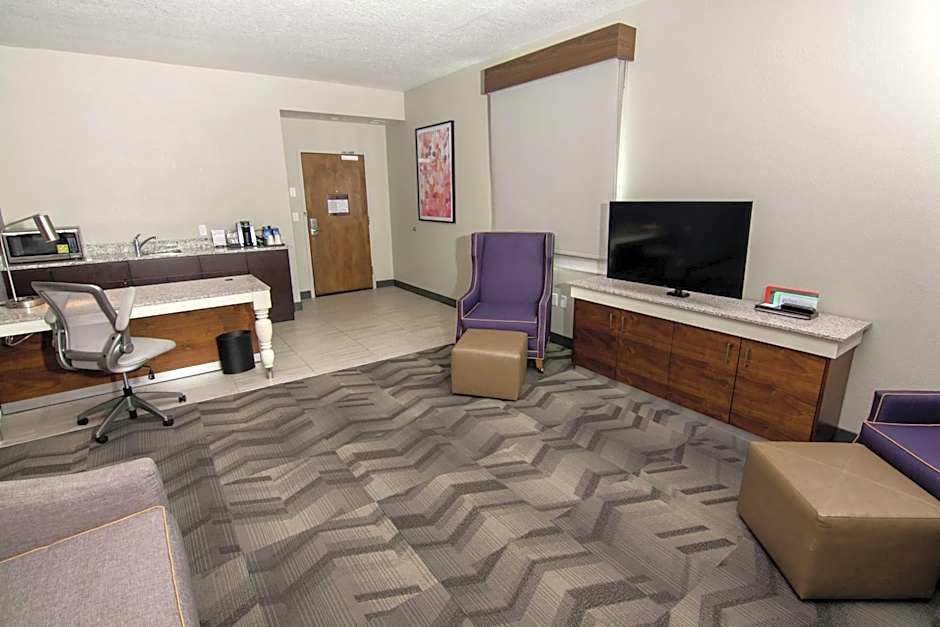 Hilton Garden Inn Tampa Suncoast Parkway